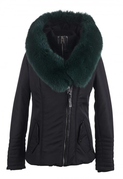 Shop Popski London Cecile Jacket Black With Emerald Collar