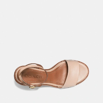 Coach Sandale Mit Mittelhohem Absatz Mit Teerosen - Size 9.5 B In Beechwood