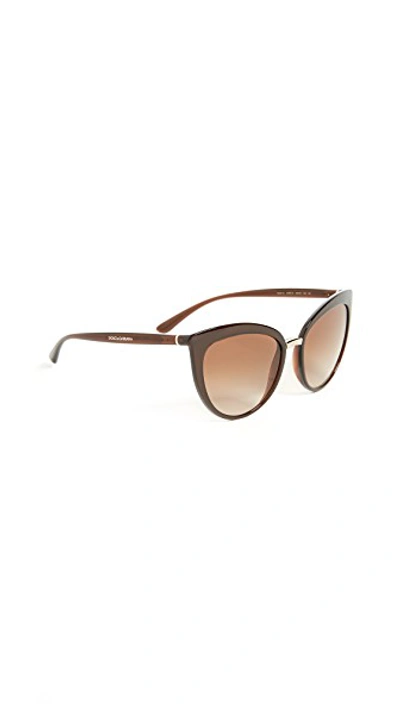 Shop Dolce & Gabbana Essential Cat Eye Sunglasses In Transparent Brown/brown