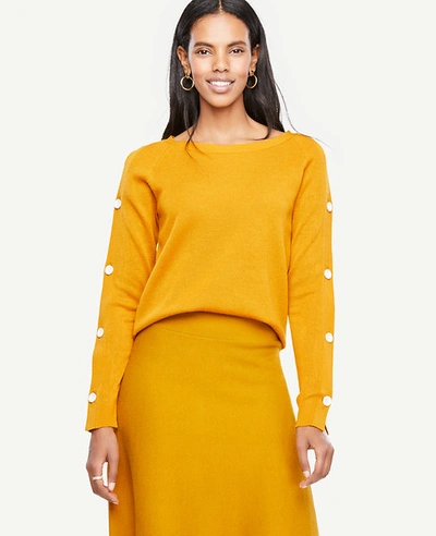 Shop Ann Taylor Button Sleeve Sweater In Golden Maple