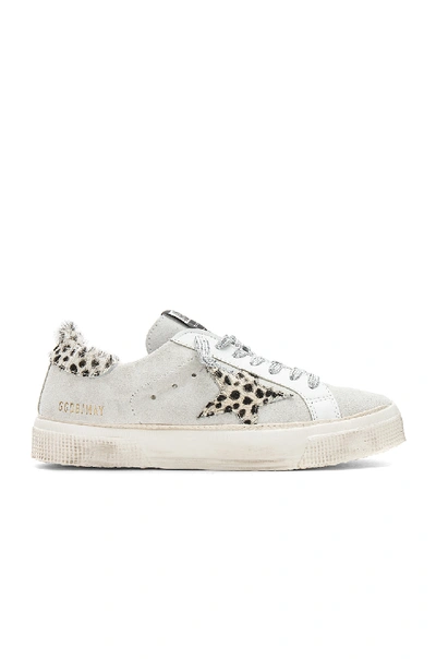 Shop Golden Goose May Sneaker In White
