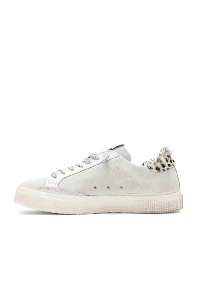 Shop Golden Goose May Sneaker In White