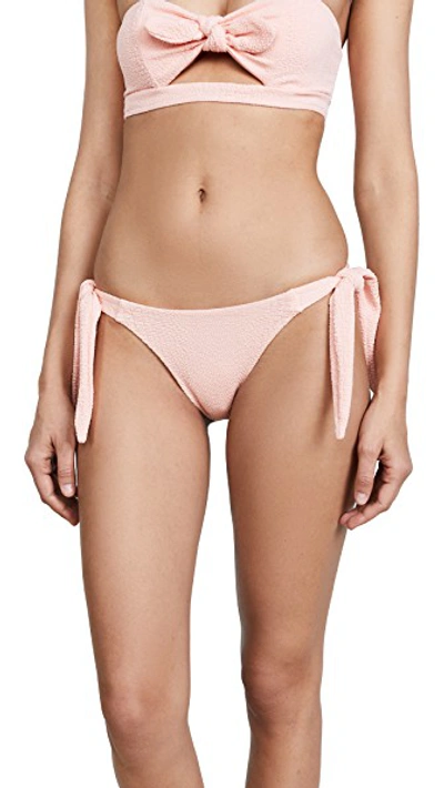 Shop Kopper & Zink Tallie Bikini Bottoms In Blossom