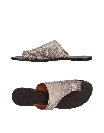 Shop Atp Atelier Toe Strap Sandals In Grey