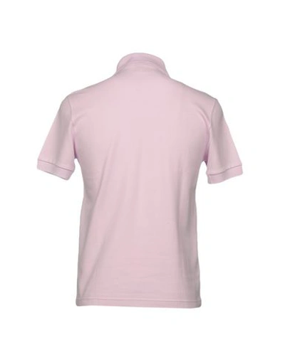 Shop Lacoste Polo Shirts In Lilac