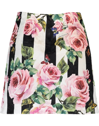 Shop Dolce & Gabbana Stripe And Rose Print Skirt