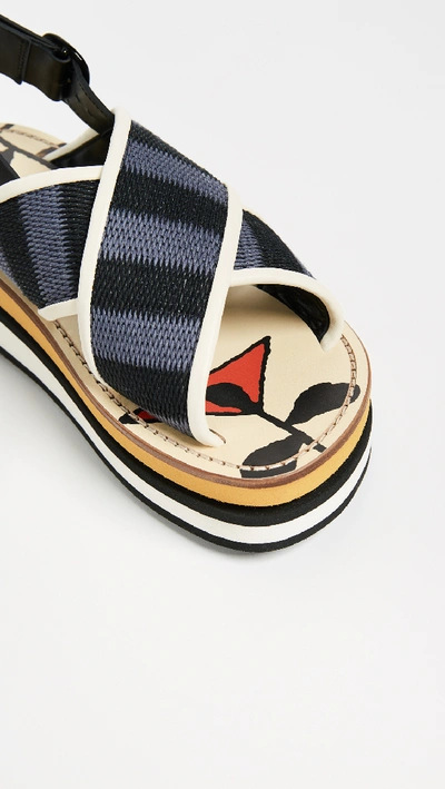 Shop Marni Platform Sandals In Black/cobalt