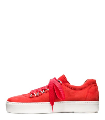 Shop Stuart Weitzman The Gaming Sneaker In Pimento Red Suede