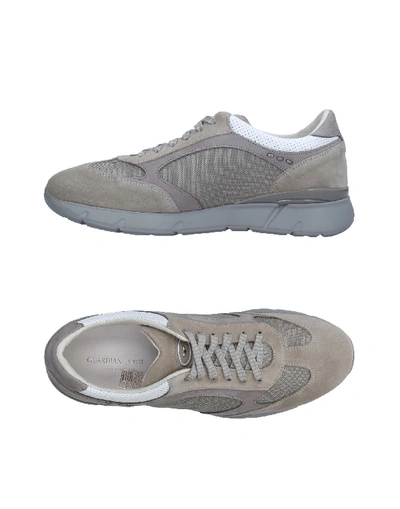 Shop Alberto Guardiani Sneakers In Light Grey