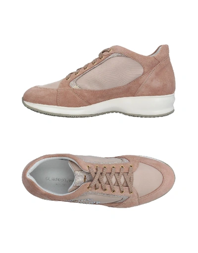 Shop Alberto Guardiani Sneakers In Pale Pink