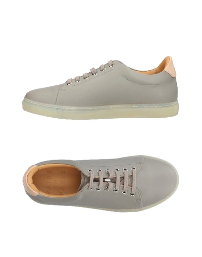 Shop Pairs In Paris Sneakers In Grey