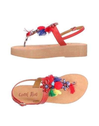 Shop Coral Blue Toe Strap Sandals In Red