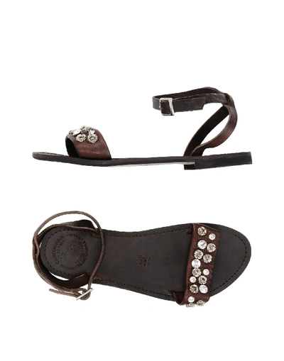 Campomaggi Sandals In Dark Brown | ModeSens