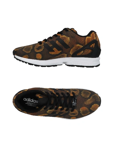 Shop Adidas Originals Sneakers In Dark Brown