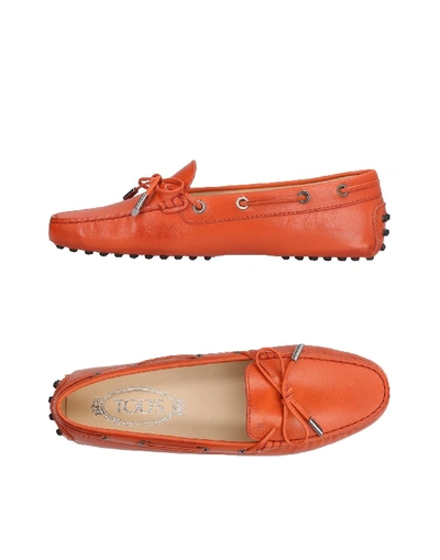 Shop Tod's In Rust