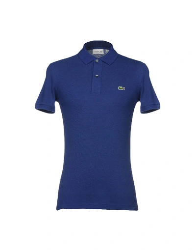 Shop Lacoste Man Polo Shirt Midnight Blue Size 3 Cotton, Elastane In Dark Blue