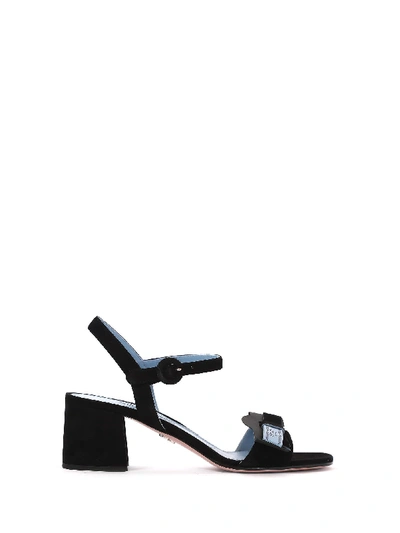 Shop Prada Black Velvet Sandal In Nero