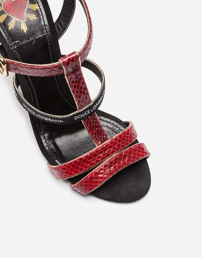 Shop Dolce & Gabbana Sandal In Ayers Snakeskin And Suede In Multicolor