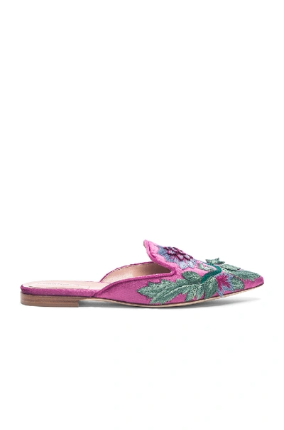 Shop Alberta Ferretti Flower Embroidered Velvet Mules In Magenta