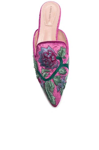 Shop Alberta Ferretti Flower Embroidered Velvet Mules In Magenta