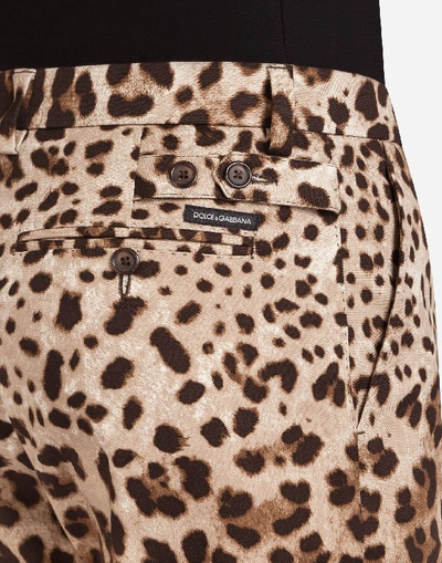 Shop Dolce & Gabbana Cotton Drill Bermuda Shorts With Leopard Print