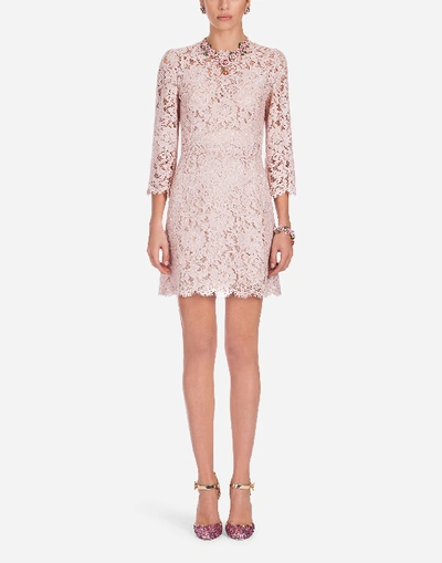 Shop Dolce & Gabbana Cordonetto Lace Dress In Pink