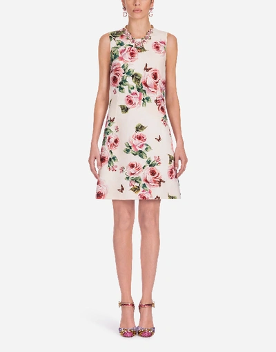 Shop Dolce & Gabbana Printed Wool Dress In Pink