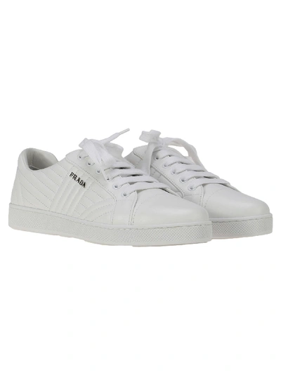 Shop Prada Sneaker Matellasse In White