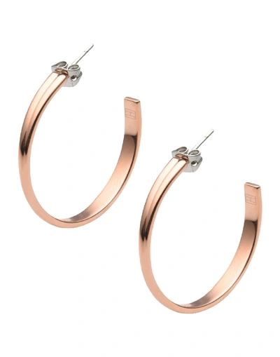Shop Tommy Hilfiger Earrings In Copper