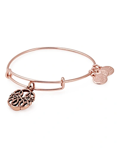 Shop Alex And Ani Path Of Life Iv Expandable Wire Bangle In Rose Gold