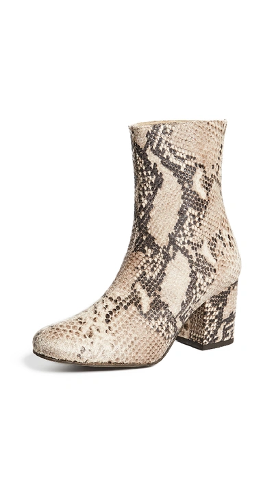 Shop Free People Cecile Ankle Booties In Taupe