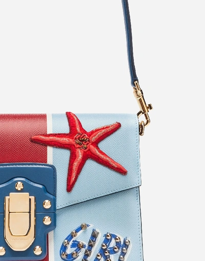 Shop Dolce & Gabbana Lucia Shoulder Bag In Printed Calfskin With Embroidery In Azure