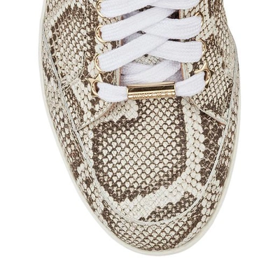 Shop Jimmy Choo Miami Natural Nubuck Snake Printed Leather Sneakers