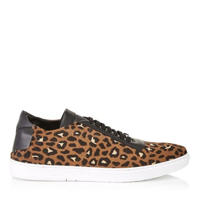 Shop Jimmy Choo Benn Hazelnut Mix Leopard Print Pony Low Top Trainers