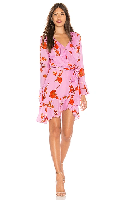 Shop Cynthia Rowley Malibu Ruffle Mini Dress In Pink Poppy