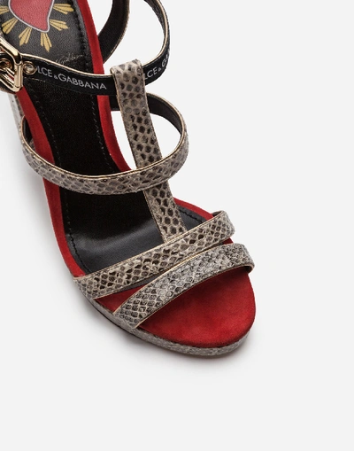 Shop Dolce & Gabbana Platform Sandal In Ayers Snakeskin And Suede In Red