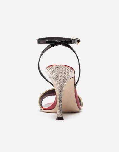 Shop Dolce & Gabbana Sandal Trimmed In Patent Leather And Ayers Snakeskin In Multicolor