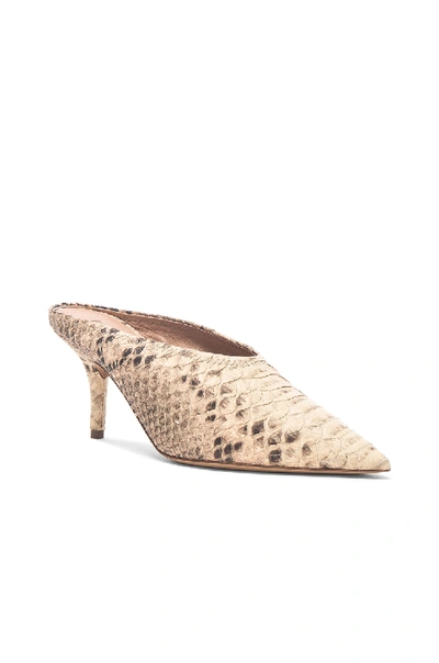 Shop Yeezy Season 6 Faux Python Embossed Leather Mule Pumps In Neutrals,animal Print