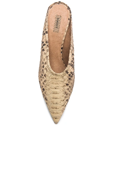 Shop Yeezy Season 6 Faux Python Embossed Leather Mule Pumps In Neutrals,animal Print