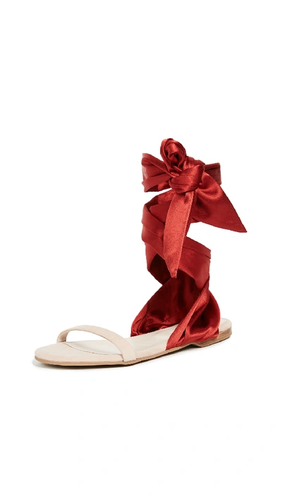 Shop Cedric Charlier Wrap Sandals In Red