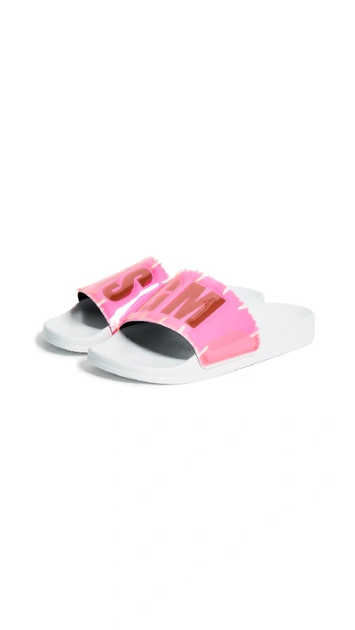 Shop Msgm Leaf Pool Slides In White/pink