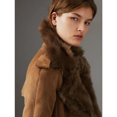 Shop Burberry Shearling Trench Coat In Dark Camel