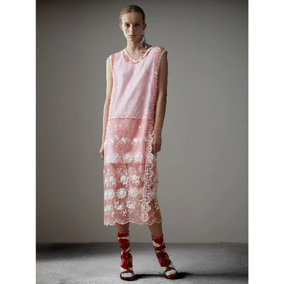 Shop Burberry Sleeveless Chantilly Lace Embroidered Tulle Dress In Rose Pink/white