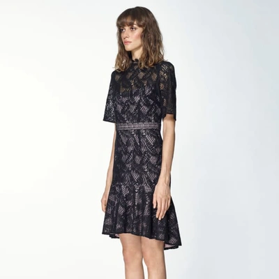 Shop Paisie Lace Dress With Flared Hem