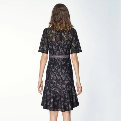 Shop Paisie Lace Dress With Flared Hem