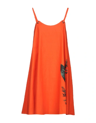 Shop Cacharel Short Dress In Orange