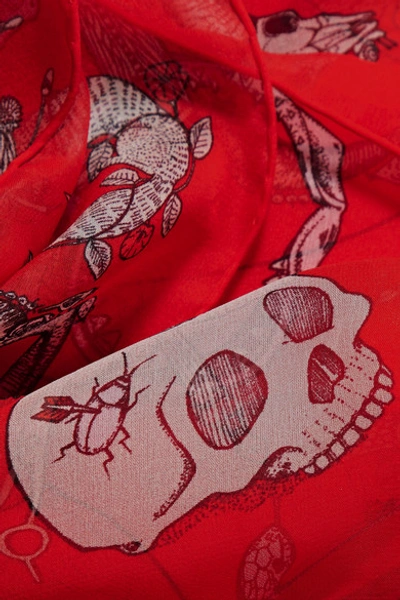 Shop Alexander Mcqueen Printed Silk-chiffon Scarf In Red