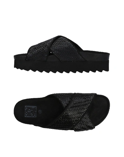 Shop Colors Of California Sandals In Black