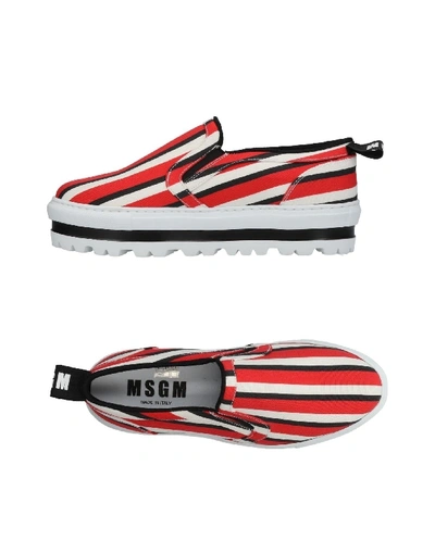 Shop Msgm Sneakers In Red