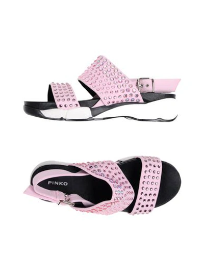 Shop Pinko Sandals In Pink